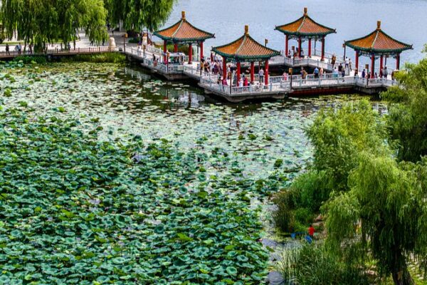 Discover Nanhu Lake Park: Changchun’s Green Heart 🌿 Discover_Nanhu_Lake_Park__Changchun_s_Green_Heart__ video poster