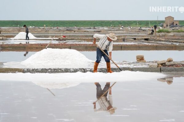 Discover Quanzhou’s Ancient Salt-Making: Where Tradition Meets the Sea 🧂🌊 Discover_Quanzhou_s_Ancient_Salt_Making__Where_Tradition_Meets_the_Sea___