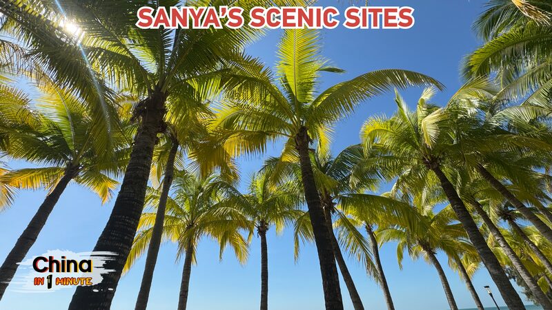 Discover_Sanya__Rachel_s_Tropical_Adventure_Beyond_the_Film_Festival_poster - News for amigos, by amigos Discover_Sanya__Rachel_s_Tropical_Adventure_Beyond_the_Film_Festival video poster