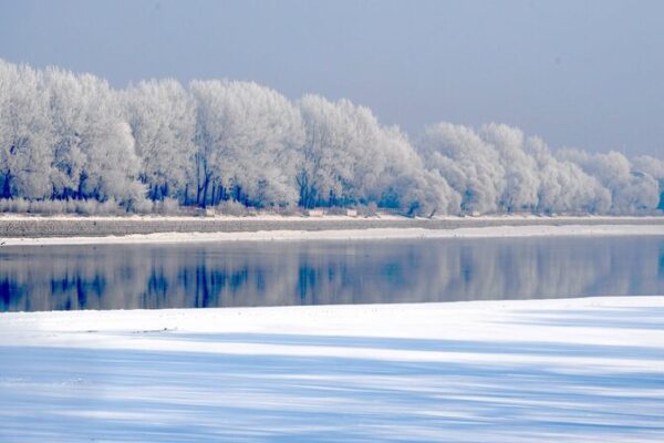 Discover Shenyang’s Winter Magic: Rime-Covered Trees Along the Hunhe River Discover_Shenyang_s_Winter_Magic__Rime_Covered_Trees_Along_the_Hunhe_River