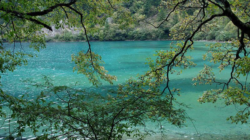 Discover_Shuzheng_Valley_s_Mesmerizing_Lakes_and_Waterfalls_poster - News for amigos, by amigos Discover_Shuzheng_Valley_s_Mesmerizing_Lakes_and_Waterfalls video poster
