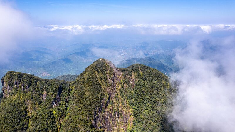 Discover_Wuzhi_Mountain__Hainan_s_Majestic_Five_Finger_Peak_poster - News for amigos, by amigos Discover_Wuzhi_Mountain__Hainan_s_Majestic_Five_Finger_Peak video poster