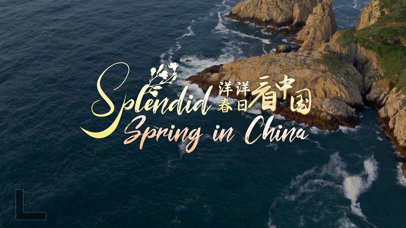 Discover_Xiangshan_s_Island_Paradise__Where_Wildlife_Dances_Under_the_Spring_Sun_poster - News for amigos, by amigos Discover_Xiangshan_s_Island_Paradise__Where_Wildlife_Dances_Under_the_Spring_Sun video poster
