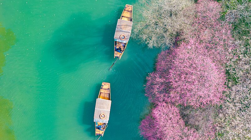 Discover_Xixi__Hangzhou_s_Hidden_Wetland_Paradise__ - News for amigos, by amigos Discover_Xixi__Hangzhou_s_Hidden_Wetland_Paradise__