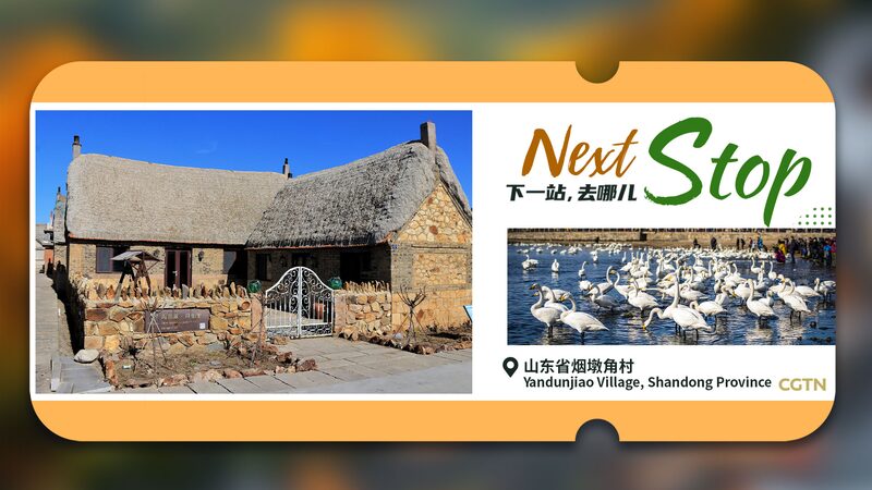 Discover_Yandunjiao__China_s_Hidden_Coastal_Gem_Named_One_of_UN_s_Best_Tourism_Villages__ - News for amigos, by amigos Discover_Yandunjiao__China_s_Hidden_Coastal_Gem_Named_One_of_UN_s_Best_Tourism_Villages__