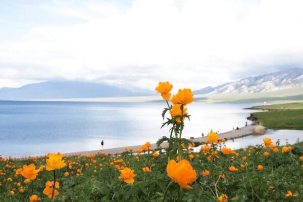 Discover the Breathtaking Beauty of Sayram Lake in Xinjiang Discover_the_Breathtaking_Beauty_of_Sayram_Lake_in_Xinjiang