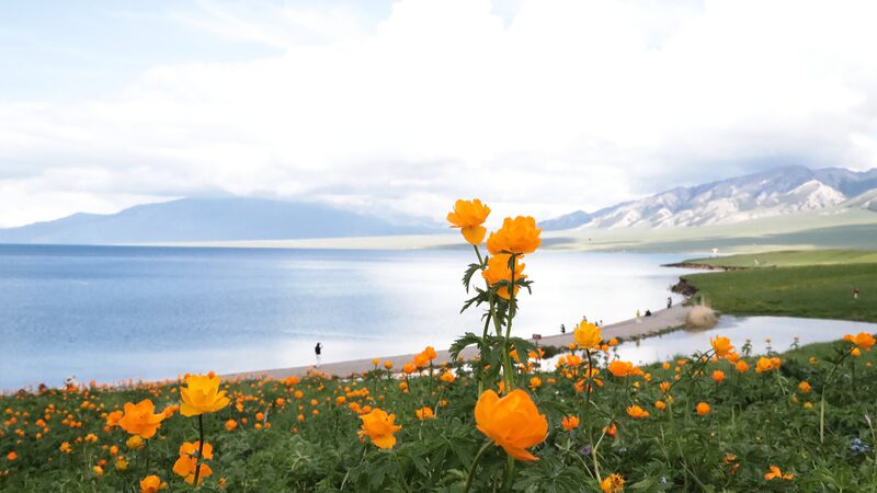 Discover_the_Breathtaking_Beauty_of_Sayram_Lake_in_Xinjiang - News for amigos, by amigos Discover_the_Breathtaking_Beauty_of_Sayram_Lake_in_Xinjiang