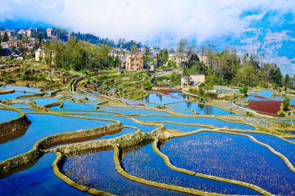 Discover the Color-Changing Wonders of Honghe Hani Rice Terraces 🌾🌈 Discover_the_Color_Changing_Wonders_of_Honghe_Hani_Rice_Terraces___