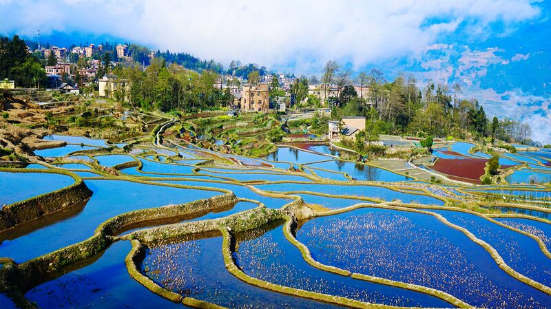 Discover_the_Color_Changing_Wonders_of_Honghe_Hani_Rice_Terraces___