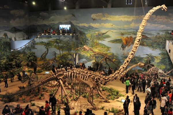 Discover the Dino Wonderland: Asia’s First Dinosaur Museum in Zigong City 🦖 Discover_the_Dino_Wonderland__Asia_s_First_Dinosaur_Museum_in_Zigong_City__