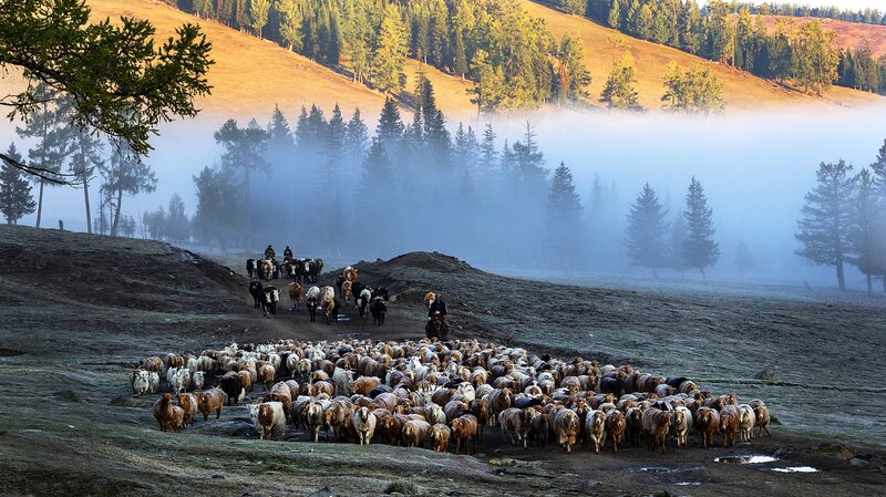 Discover_the_Enchanting_Altay__China_s_Hidden_Gem_Shining_in__To_the_Wonder___ - News for amigos, by amigos Discover_the_Enchanting_Altay__China_s_Hidden_Gem_Shining_in__To_the_Wonder___