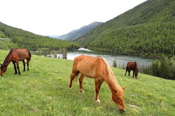 Discover the Enchanting Bays of Kanas River 🌟 Discover_the_Enchanting_Bays_of_Kanas_River__ video poster