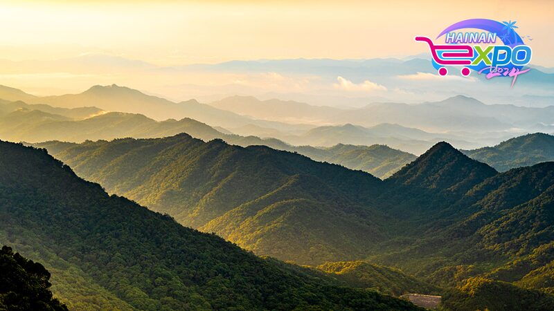 Discover_the_Hidden_Wonders_of_Hainan_s_Jianfengling_Rainforest__ - News for amigos, by amigos Discover_the_Hidden_Wonders_of_Hainan_s_Jianfengling_Rainforest__