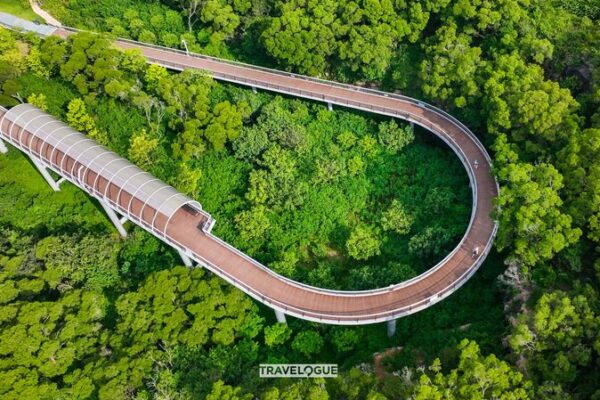 Discover the Hillside Trail of Your Running Dreams 🌄👟 Discover_the_Hillside_Trail_of_Your_Running_Dreams___
