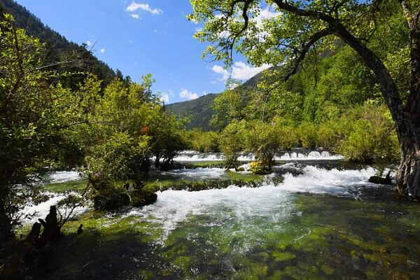 Discover the Magic of Shuzheng Valley’s Lakes and Waterfalls in Jiuzhaigou Discover_the_Magic_of_Shuzheng_Valley_s_Lakes_and_Waterfalls_in_Jiuzhaigou video poster