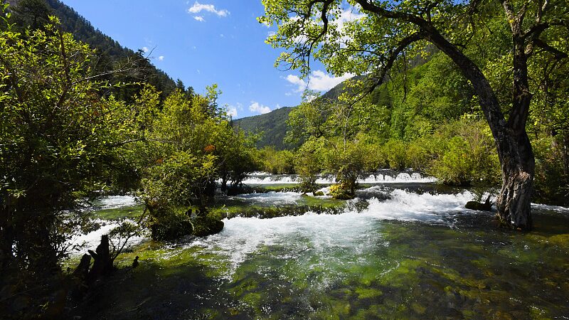 Discover_the_Magic_of_Shuzheng_Valley_s_Lakes_and_Waterfalls_in_Jiuzhaigou_poster - News for amigos, by amigos Discover_the_Magic_of_Shuzheng_Valley_s_Lakes_and_Waterfalls_in_Jiuzhaigou video poster