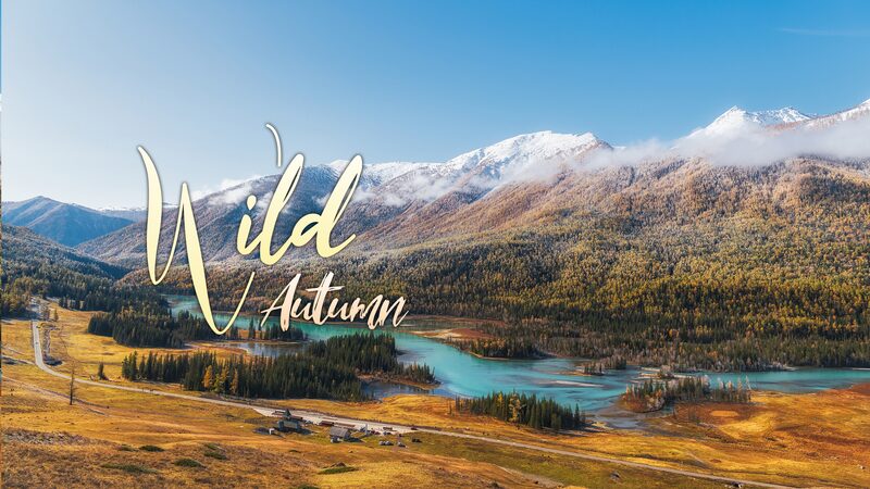 Discover_the_Magical_Autumn_Colors_of_Kanas_Lake____poster - News for amigos, by amigos Discover_the_Magical_Autumn_Colors_of_Kanas_Lake___ video poster
