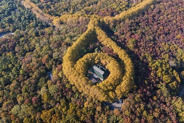 Discover the Meiling Palace: A Hidden Gem Surrounded by a Living Necklace in Nanjing 🌿 Discover_the_Meiling_Palace__A_Hidden_Gem_Surrounded_by_a_Living_Necklace_in_Nanjing__