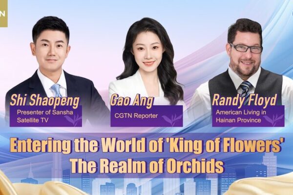 Discover the Orchid Paradise: A Journey into Hainan’s Tropical Plant Quarantine Center Discover_the_Orchid_Paradise__A_Journey_into_Hainan_s_Tropical_Plant_Quarantine_Center video poster