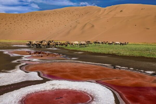 Discover the Stunning Lakes and Dunes of China’s Badain Jaran Desert! 🌵🏜️ Discover_the_Stunning_Lakes_and_Dunes_of_China_s_Badain_Jaran_Desert_____