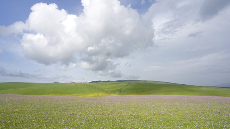 Discover_the_Summer_Magic_of_Kalajun_Grassland_in_Xinjiang____poster - News for amigos, by amigos Discover_the_Summer_Magic_of_Kalajun_Grassland_in_Xinjiang___ video poster