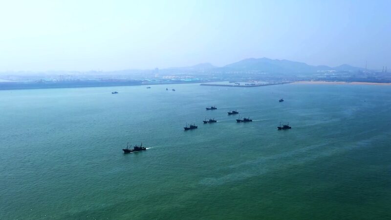 Discover_the_Vibrant_Seaside_Market_of_Xinghaimen_in_E_China_s_Shandong_Province video poster