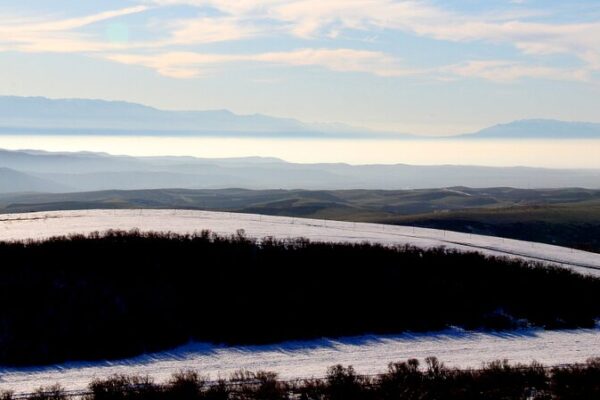 Discover_the_Winter_Magic_of_Wusu_Foshan_National_Forest_Park___ video poster