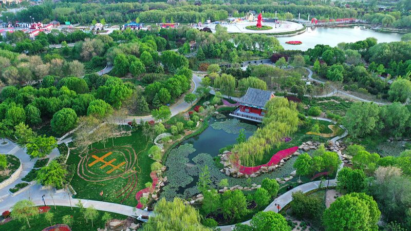 Discover_the_World_s_Largest_Peony_Garden_in_China_s_Peony_Capital___poster - News for amigos, by amigos Discover_the_World_s_Largest_Peony_Garden_in_China_s_Peony_Capital__ video poster