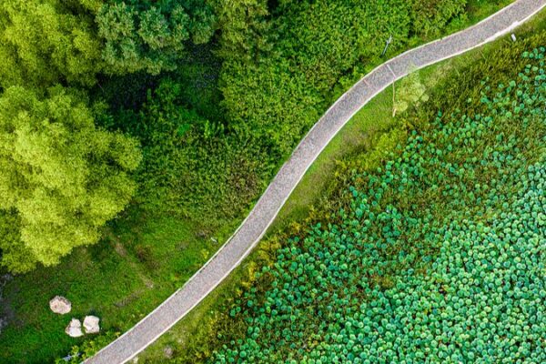 Discovering Changchun’s Green Oasis: A Serene Escape Amidst the City Discovering_Changchun_s_Green_Oasis__A_Serene_Escape_Amidst_the_City