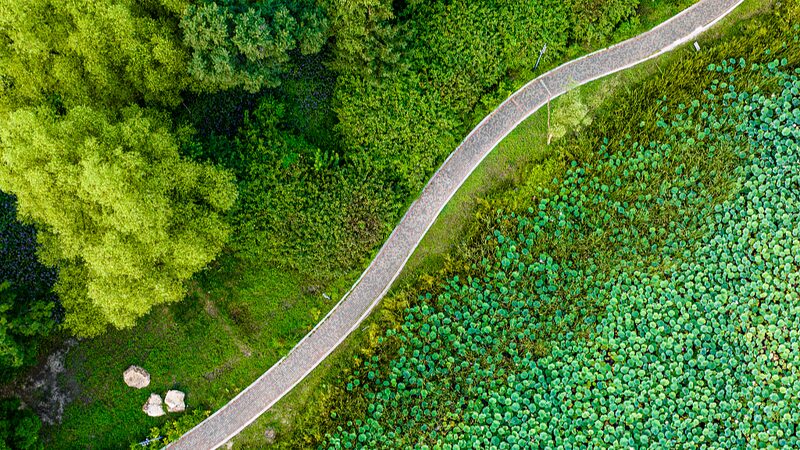 Discovering_Changchun_s_Green_Oasis__A_Serene_Escape_Amidst_the_City