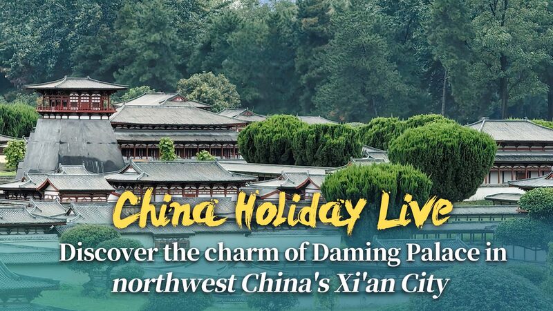 Discovering_Xi_an_s_Daming_Palace__A_Journey_Through_China_s_Golden_Week____poster - News for amigos, by amigos Discovering_Xi_an_s_Daming_Palace__A_Journey_Through_China_s_Golden_Week___ video poster