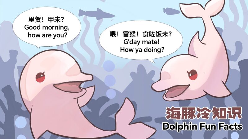 Dive_into_Dolphin_Fun__CGTN_and_Aether_Gazer_Unveil_Marine_Mammal_Comics
