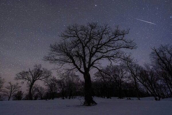 Don’t Miss the Quadrantids: 2025’s First Meteor Shower! Don_t_Miss_the_Quadrantids__2025_s_First_Meteor_Shower_