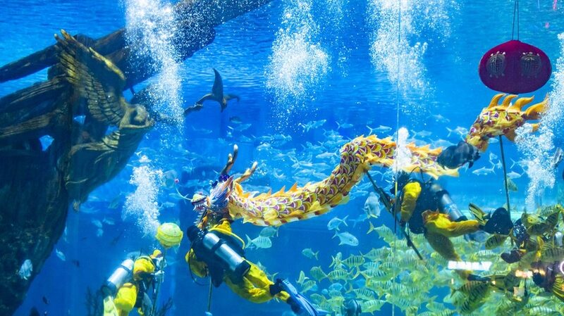 Dragons_Dive_Deep__Underwater_Dragon_Dance_Wows_Chongqing_Ahead_of_Spring_Festival - News for amigos, by amigos Dragons_Dive_Deep__Underwater_Dragon_Dance_Wows_Chongqing_Ahead_of_Spring_Festival