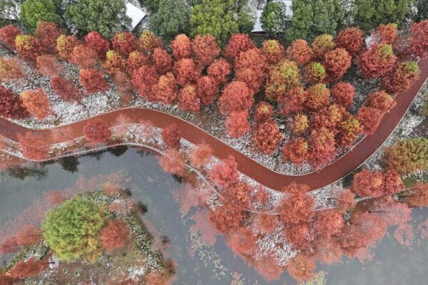 Dream Island Transforms into Snowy Fairyland After Winter’s First Snowfall Dream_Island_Transforms_into_Snowy_Fairyland_After_Winter_s_First_Snowfall