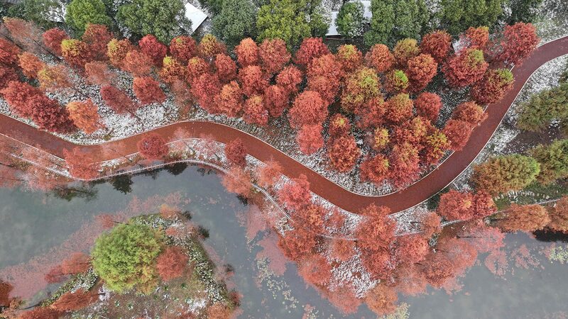 Dream_Island_Transforms_into_Snowy_Fairyland_After_Winter_s_First_Snowfall