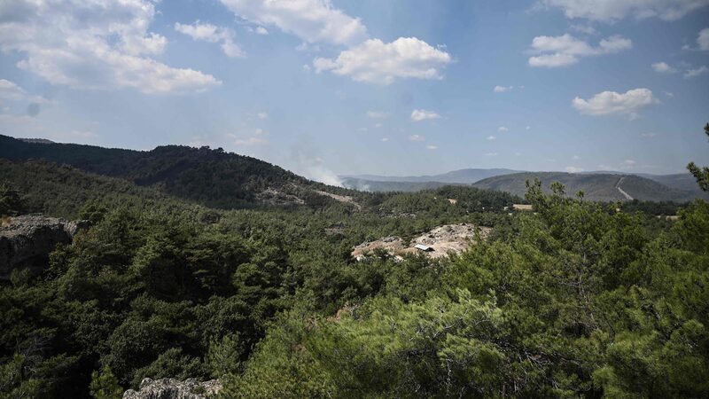 EU_Approves_Landmark_Nature_Restoration_Law_After_Delays - News for amigos, by amigos EU_Approves_Landmark_Nature_Restoration_Law_After_Delays