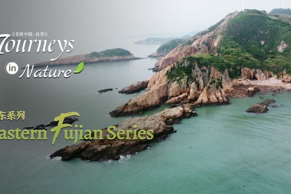 Eastern Fujian’s Eroded Wonders: Exploring Xiapu’s Unique Coastline Eastern_Fujian_s_Eroded_Wonders__Exploring_Xiapu_s_Unique_Coastline video poster