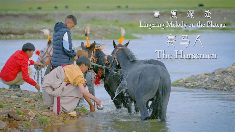 Echoes_of_the_Plateau__The_Unseen_Dedication_of_Xizang_s_Horse_Trainers_poster - News for amigos, by amigos Echoes_of_the_Plateau__The_Unseen_Dedication_of_Xizang_s_Horse_Trainers video poster