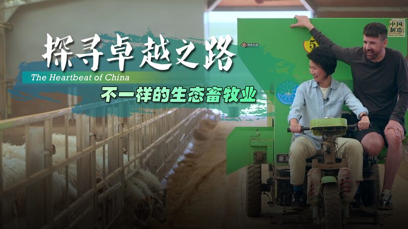 Eco_Farming_and_Solar_Power__Exploring_Gonghe_County_s_Green_Revolution____poster - News for amigos, by amigos Eco_Farming_and_Solar_Power__Exploring_Gonghe_County_s_Green_Revolution___ video poster