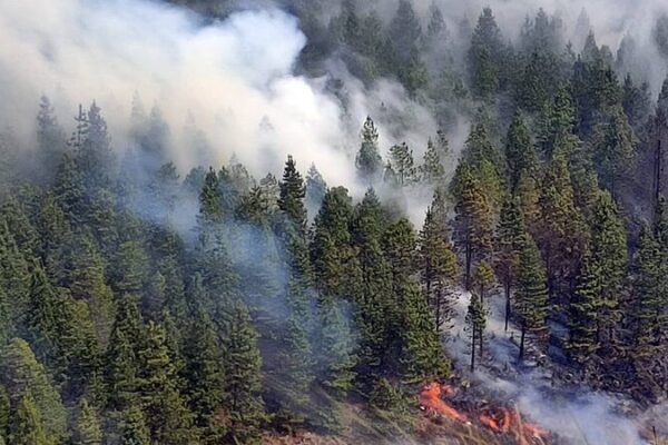 🔥 Ecuador Declares 60-Day Emergency as Wildfires Blaze Amid Severe Drought __Ecuador_Declares_60_Day_Emergency_as_Wildfires_Blaze_Amid_Severe_Drought