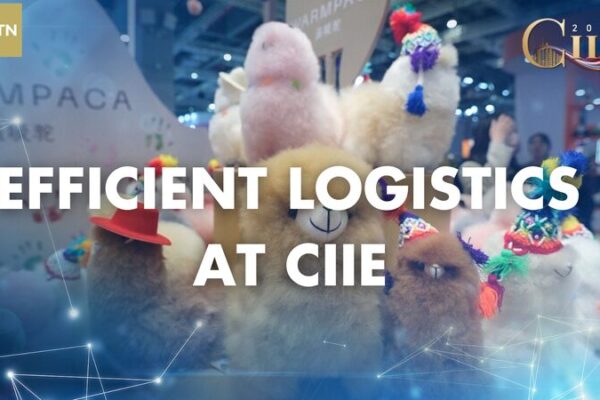 Efficient Logistics Power the 7th China International Import Expo 🌐🚚 Efficient_Logistics_Power_the_7th_China_International_Import_Expo___ video poster