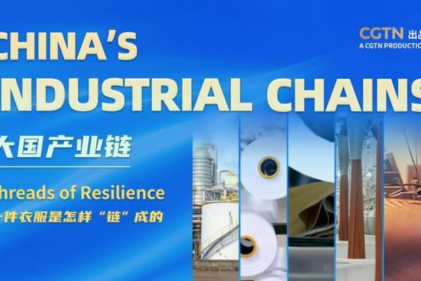 Egrets Find Unlikely Home in Ningbo Refinery’s Industrial Landscape Egrets_Find_Unlikely_Home_in_Ningbo_Refinery_s_Industrial_Landscape video poster