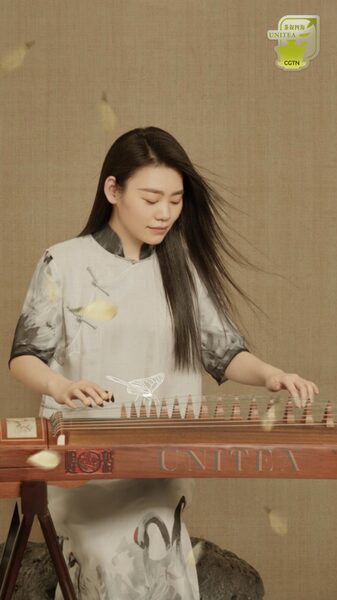 Elevate_Your_Tea_Ritual_with_Guzheng_Music__ video poster