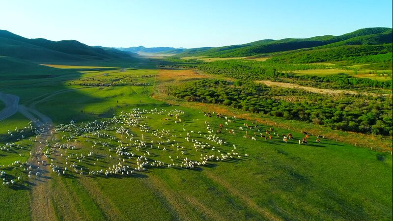 Embrace_the_Nomadic_Spirit_on_Ar_Horqin_Grassland__ video poster