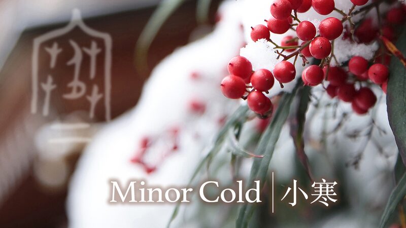Embracing__Xiao_Han___The_Art_and_Traditions_of_Minor_Cold____poster - News for amigos, by amigos Embracing__Xiao_Han___The_Art_and_Traditions_of_Minor_Cold___ video poster