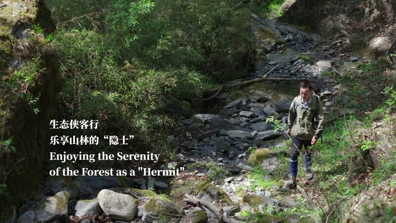 Embracing_the_Wild__Xiao_Fei_s_Journey_as_a_Modern_Day_Forest_Hermit___poster - News for amigos, by amigos Embracing_the_Wild__Xiao_Fei_s_Journey_as_a_Modern_Day_Forest_Hermit__ video poster