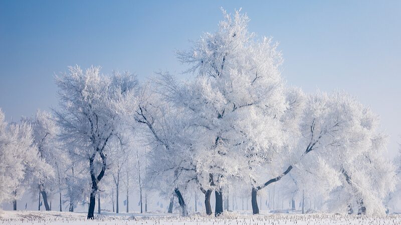 Enchanting_Rime_Phenomenon_Transforms_Jilin_s_Wusong_Island_into_a_Winter_Wonderland