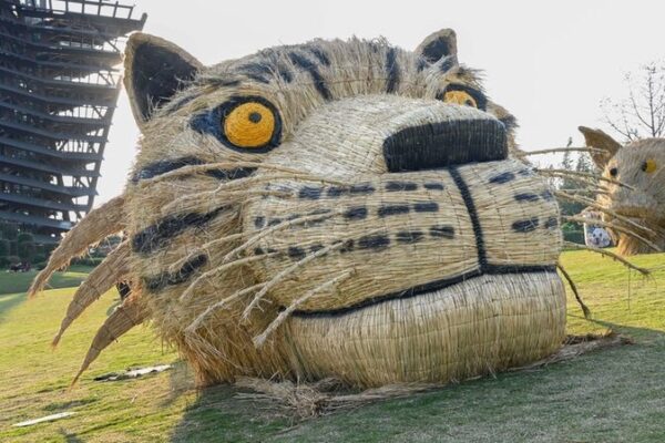 Enchanting Scarecrow Festival Lights Up Nanning with Fairytale Magic 🌾✨ Enchanting_Scarecrow_Festival_Lights_Up_Nanning_with_Fairytale_Magic___