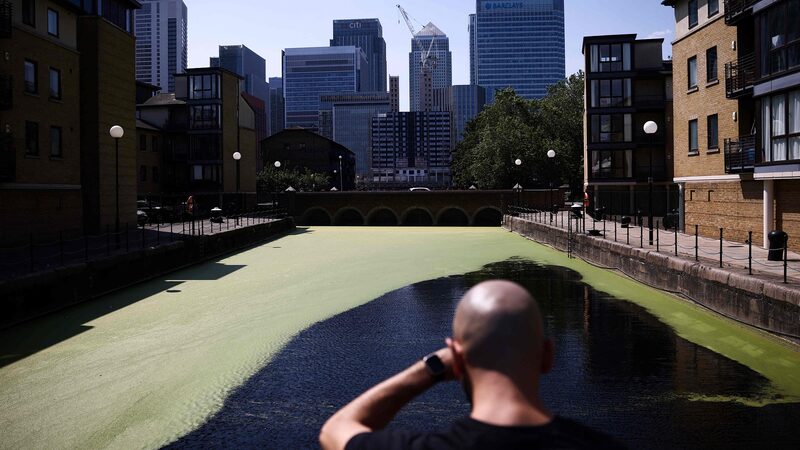 England_s_Rivers_Cry_for_Help____New_Report_Reveals_Troubling_Decline - News for amigos, by amigos England_s_Rivers_Cry_for_Help____New_Report_Reveals_Troubling_Decline